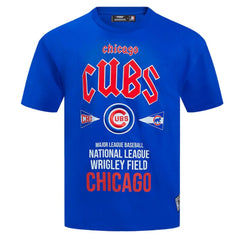 Chicago Cubs Pro Standard Oversized City Tour T-Shirt - Royal
