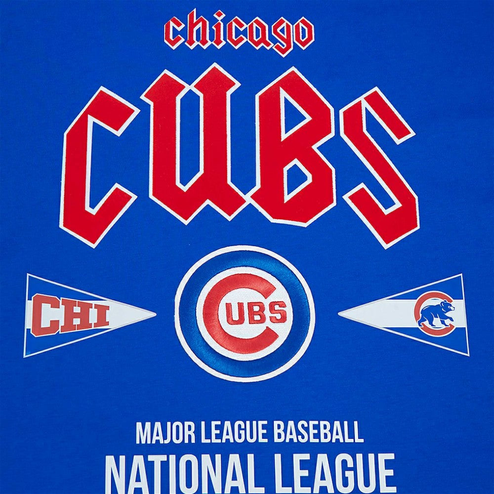 Chicago Cubs Pro Standard Oversized City Tour T-Shirt - Royal