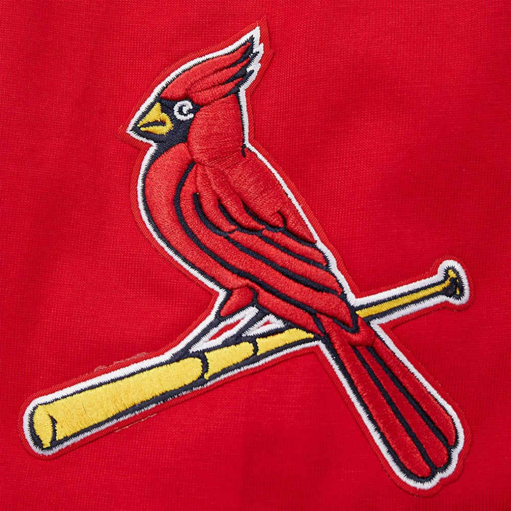 St. Louis Cardinals Pro Standard Oversized City Tour T-Shirt - Red