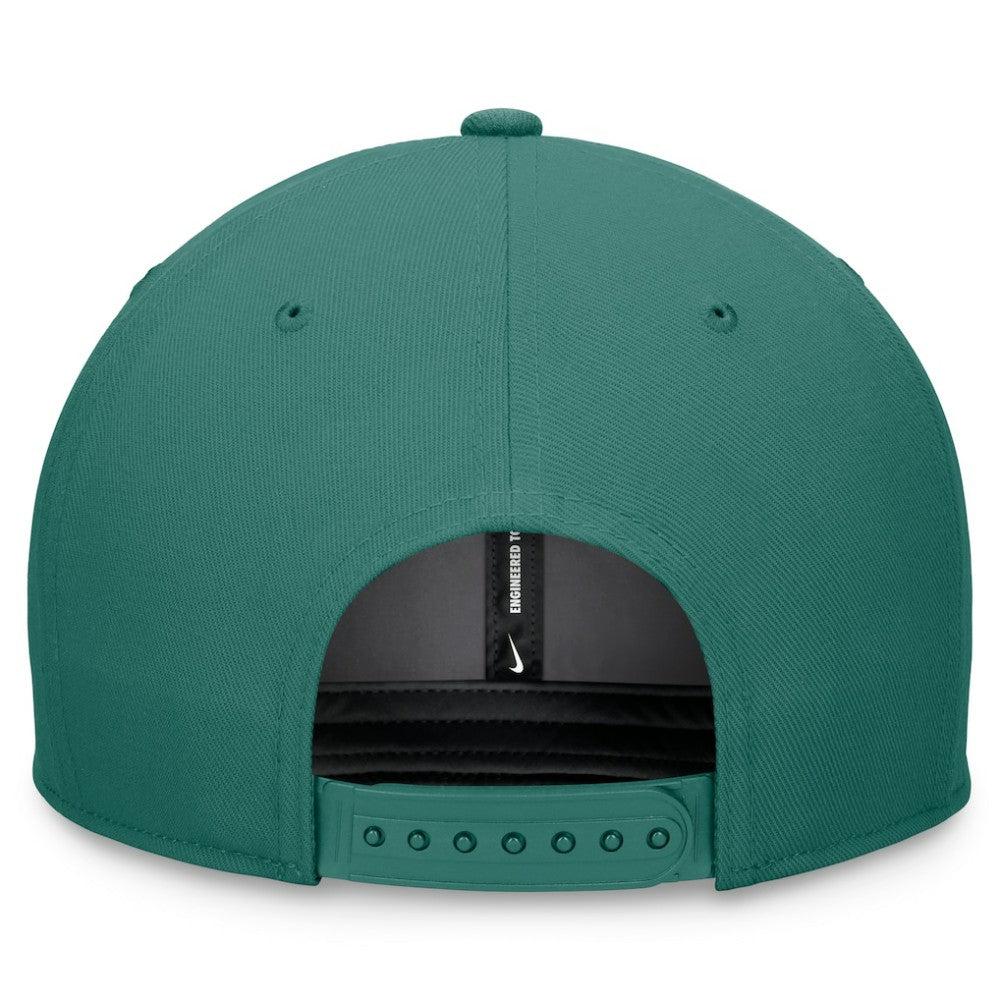 Washington Nationals Bicoastal Pro Performance Snapback Hat - Green | Nike