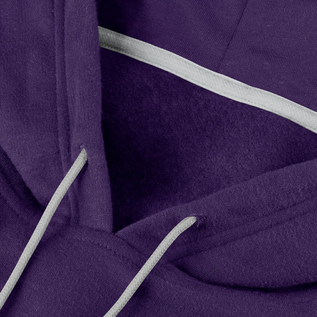 Baltimore Ravens Unisex Sleek Elements Pullover Hoodie - Purple online