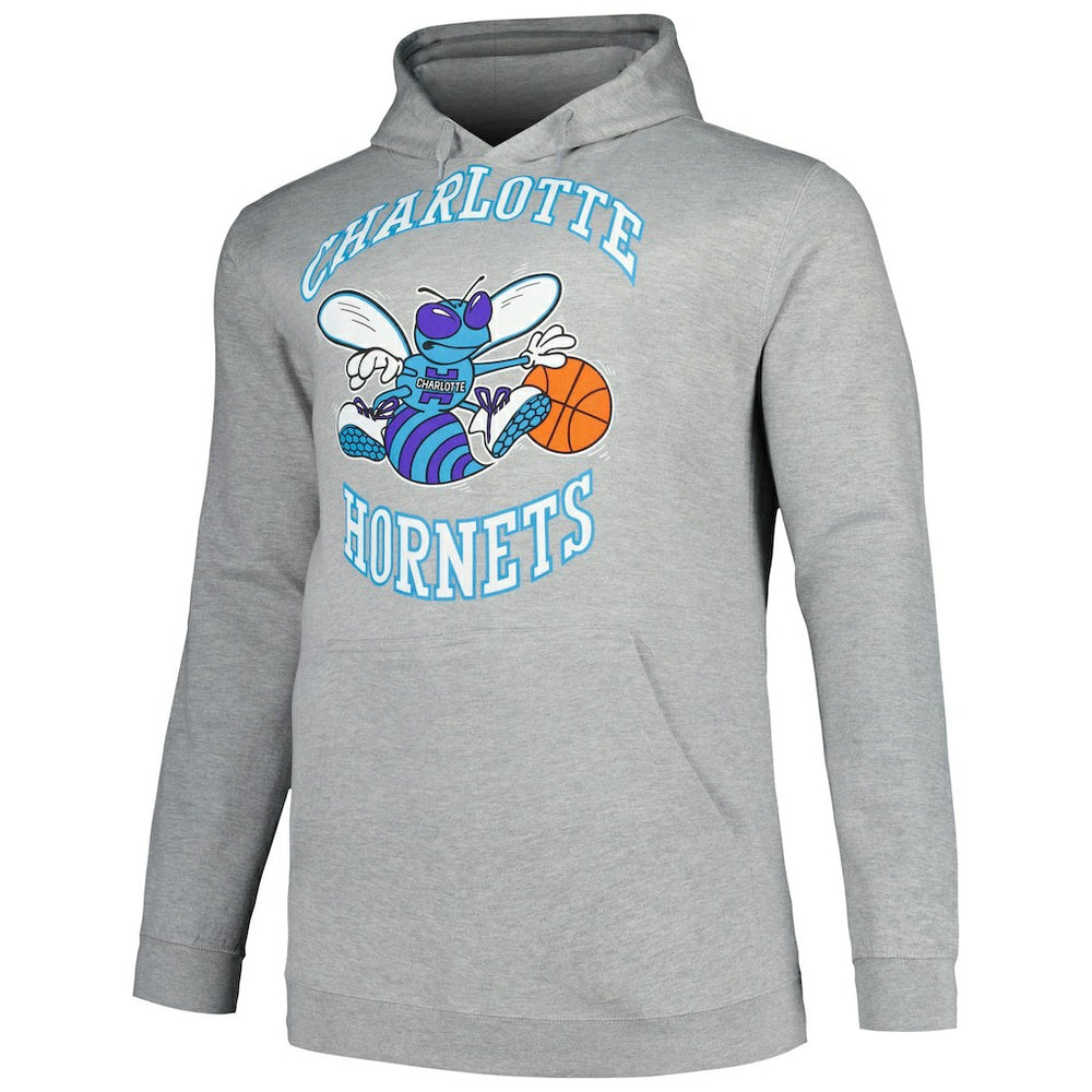 Charlotte Hornets Hardwood Classics Big & Tall Pullover Hoodie - Heather Gray | Mitchell & Ness discount