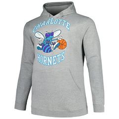 Charlotte Hornets Hardwood Classics Big & Tall Pullover Hoodie - Heather Gray | Mitchell & Ness discount