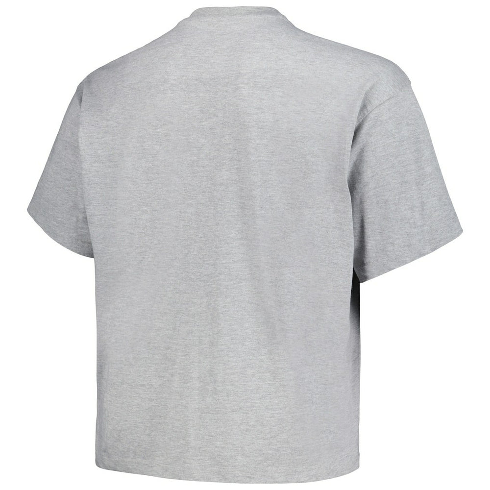 Denver Nuggets Big & Tall Hardwood Classics Vintage Logo T-Shirt sale - Heather Gray | Mitchell & Ness online