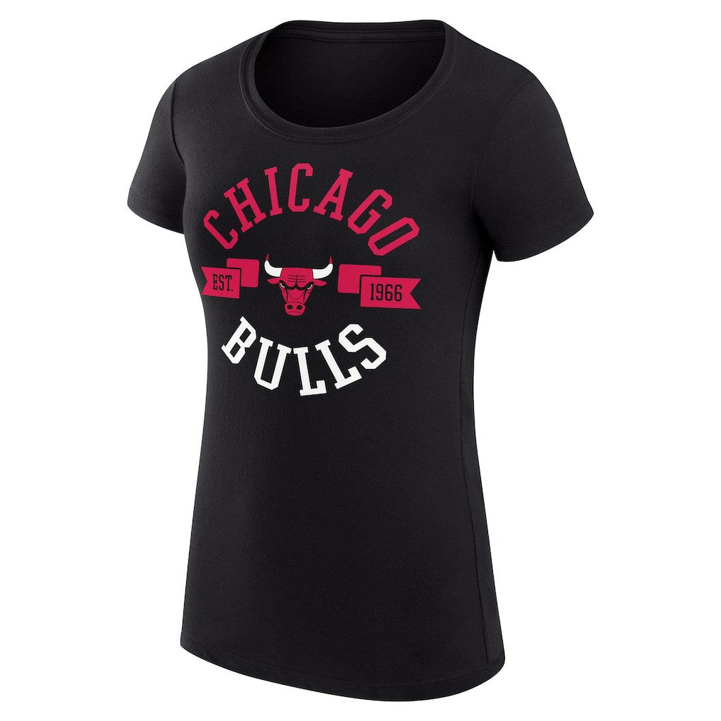 Chicago Bulls G-III 4Her by Carl Banks Women's Super-Slim Fit Lightweight Large City Logo T-Shirt sale - Black on sale