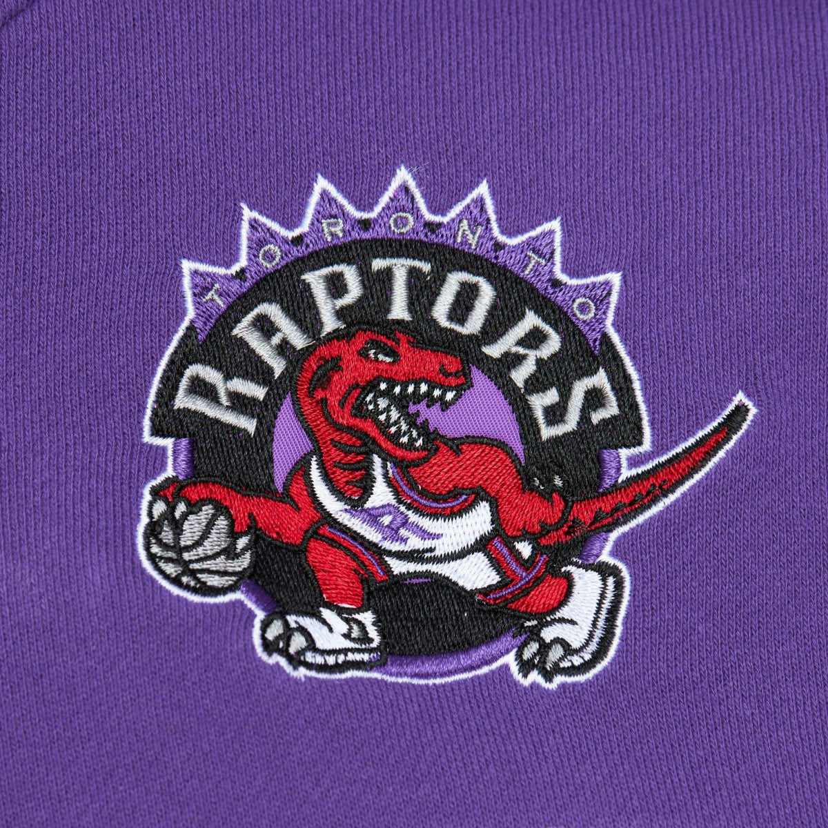 Toronto Raptors Head Coach Pullover Hoodie - Red/Purple | Mitchell & Ness for sale