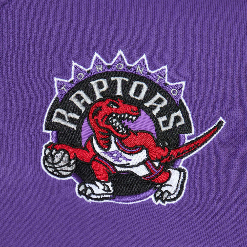 Toronto Raptors Head Coach Pullover Hoodie - Red/Purple | Mitchell & Ness for sale