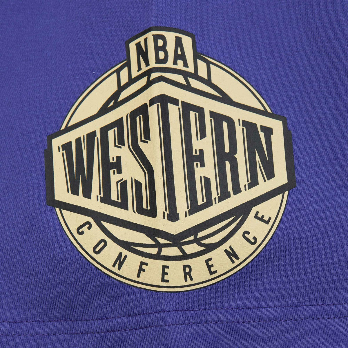 Phoenix Suns Hardwood Classics Team OG 2.0 Premium Vintage Logo T-Shirt - Purple | Mitchell & Ness on sale
