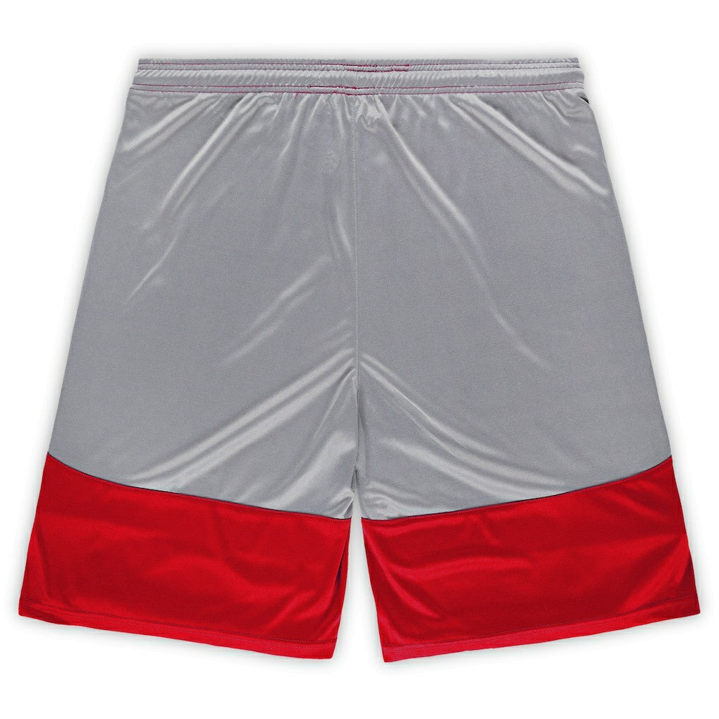 San Francisco 49ers Big & Tall Team Logo Shorts - Scarlet discount