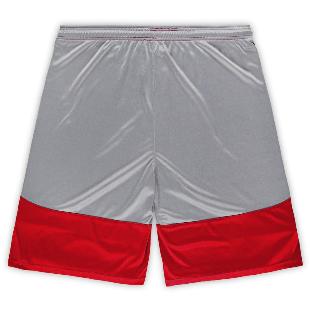 San Francisco 49ers Big & Tall Team Logo Shorts - Scarlet discount