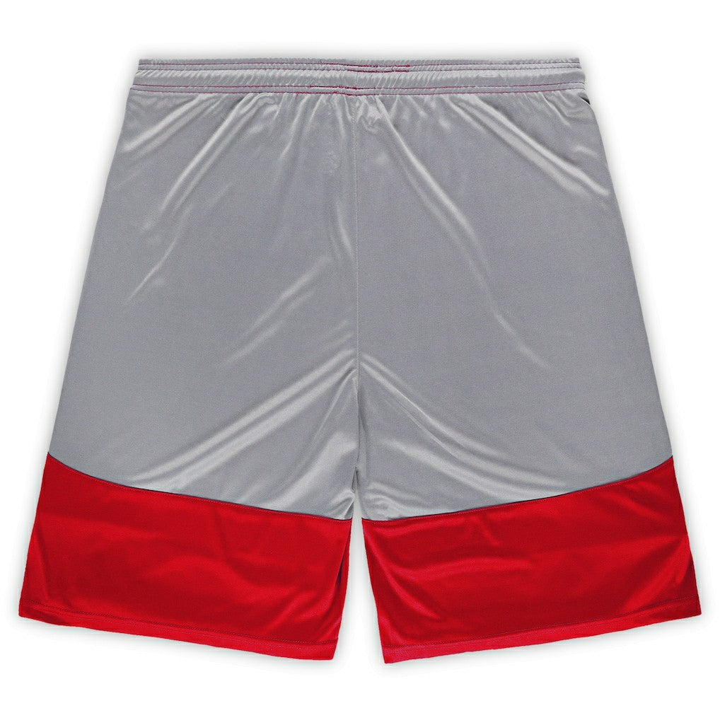 Arizona Cardinals Big & Tall Team Logo Shorts - Cardinal sale