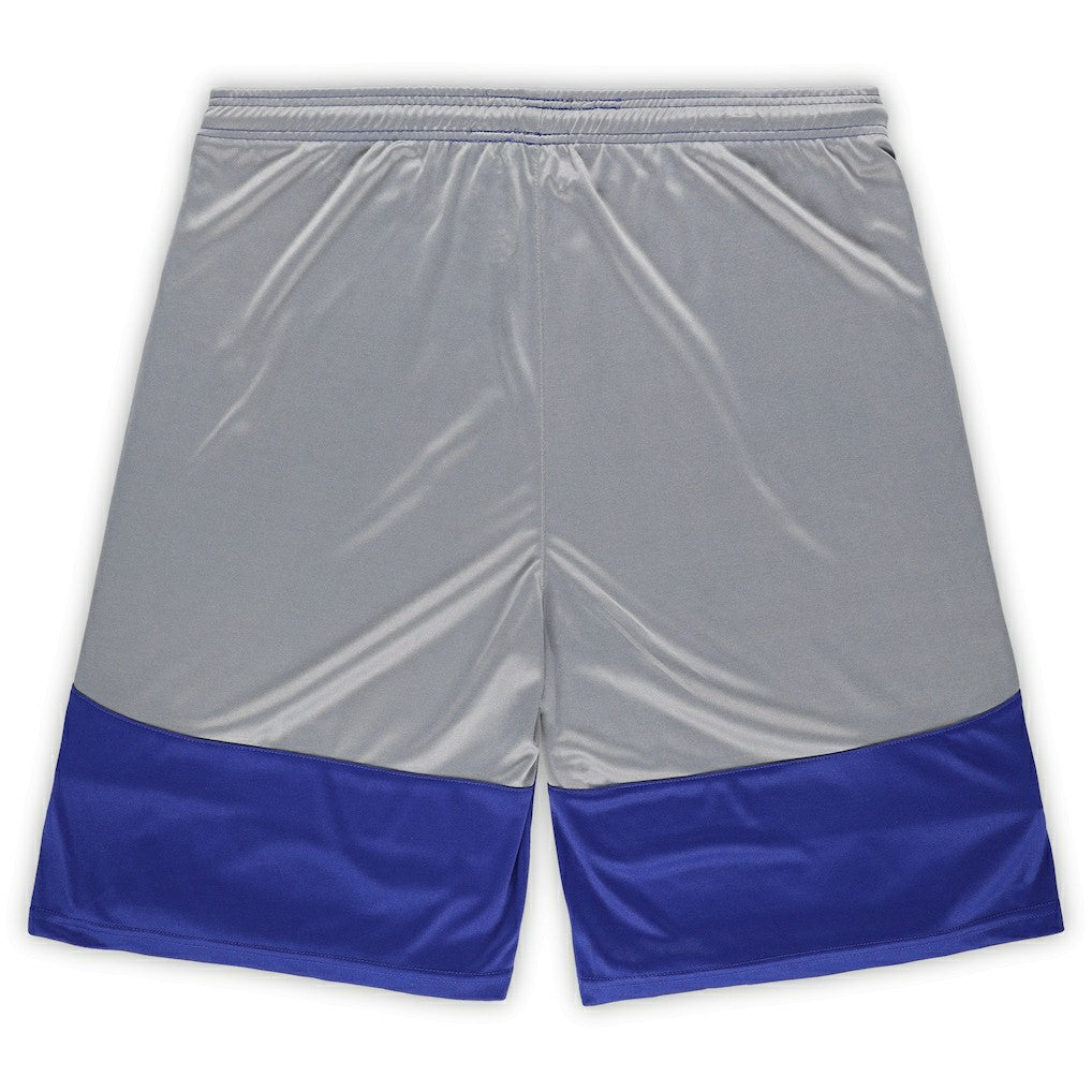 Indianapolis Colts Big & Tall Team Logo Shorts - Royal sale