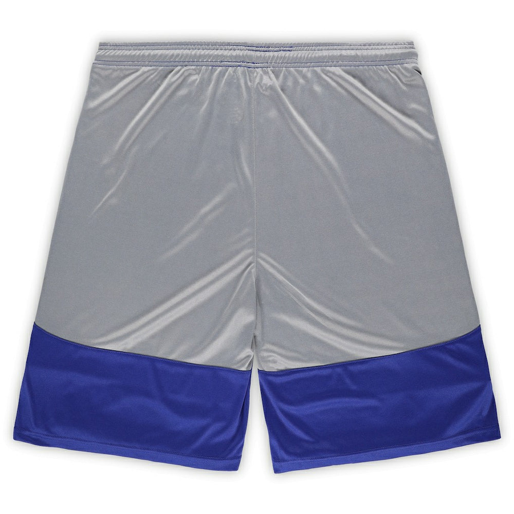 Indianapolis Colts Big & Tall Team Logo Shorts - Royal sale