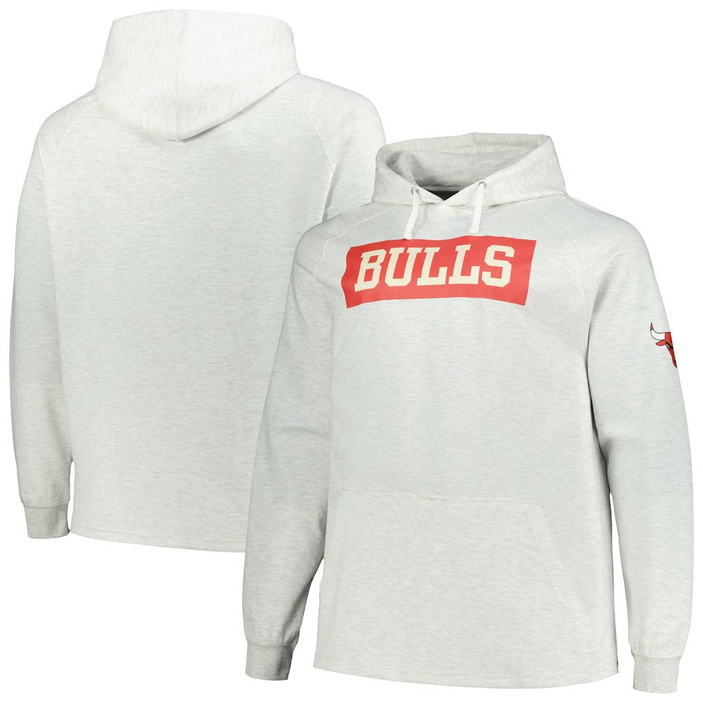 Chicago Bulls Big & Tall Raglan Tri-Blend Pullover Hoodie sale - Ash | Fanatics for sale