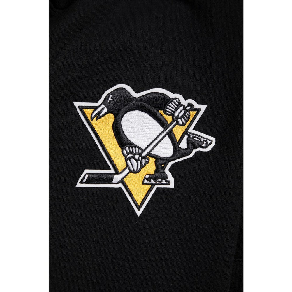 Pittsburgh Penguins Pro Standard Paint the City Pullover Hoodie Black