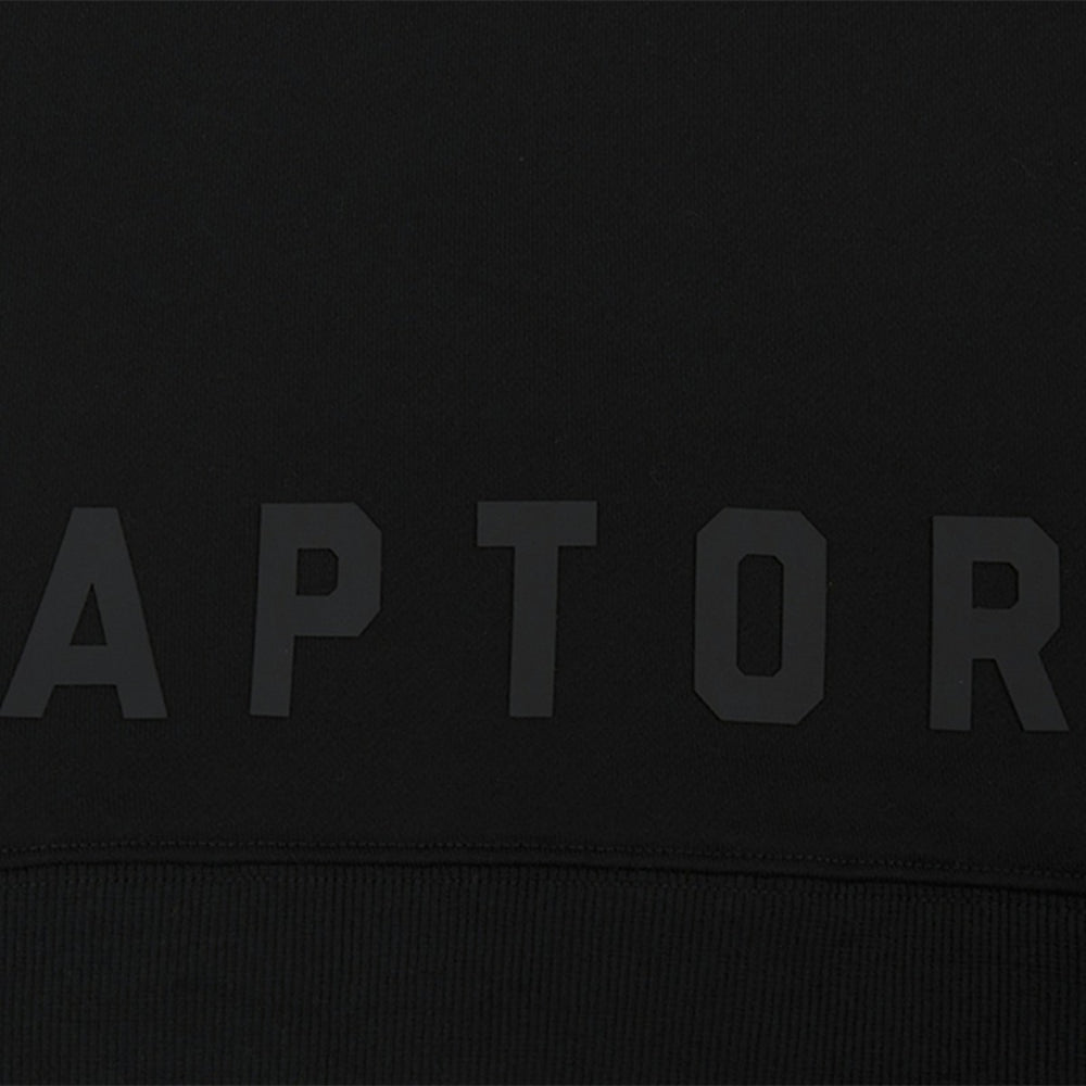 Toronto Raptors Pro Standard Women's Jewels Cropped Pullover Hoodie - Black discount