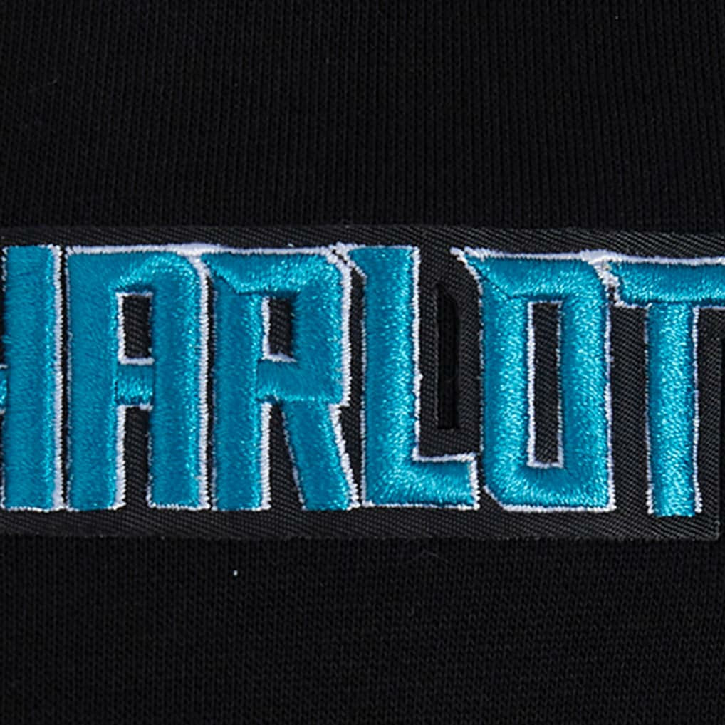 Charlotte Hornets Pro Standard Area Code Pullover Hoodie - Black outlet