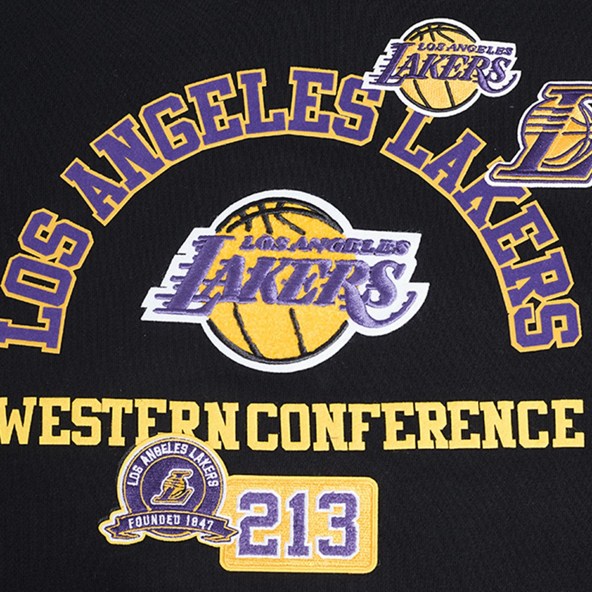 Los Angeles Lakers Pro Standard Area Code Pullover Hoodie - Black sale