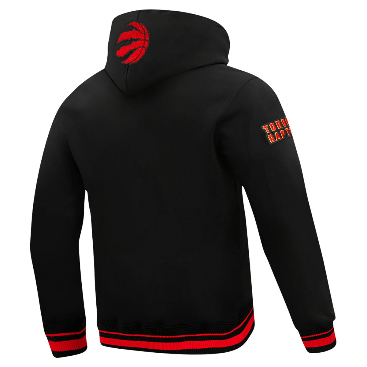 Toronto Raptors Pro Standard Area Code Pullover Hoodie - Black for sale