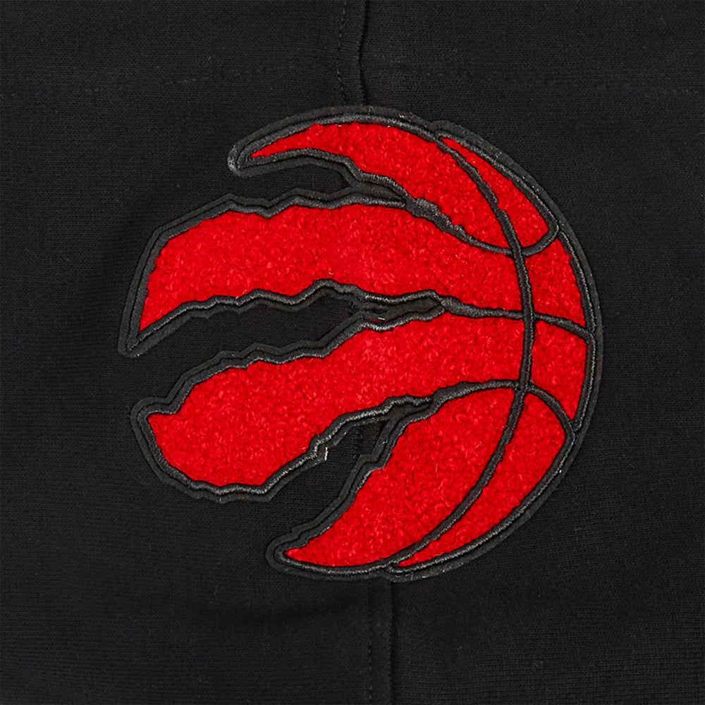Toronto Raptors Pro Standard Area Code Pullover Hoodie - Black for sale