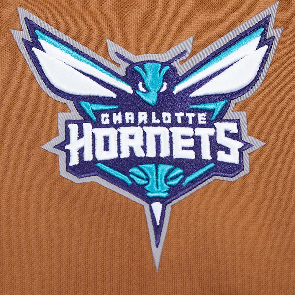 Charlotte Hornets Pro Standard Paint the City Drop Shoulder Pullover Hoodie - Brown discount