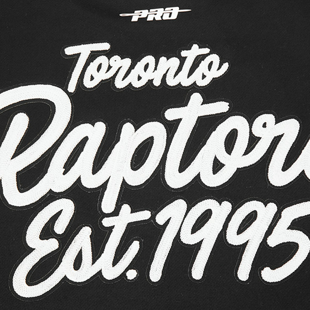 Toronto Raptors Pro Standard Paint the City Drop Shoulder Sweatshirt - Black for sale