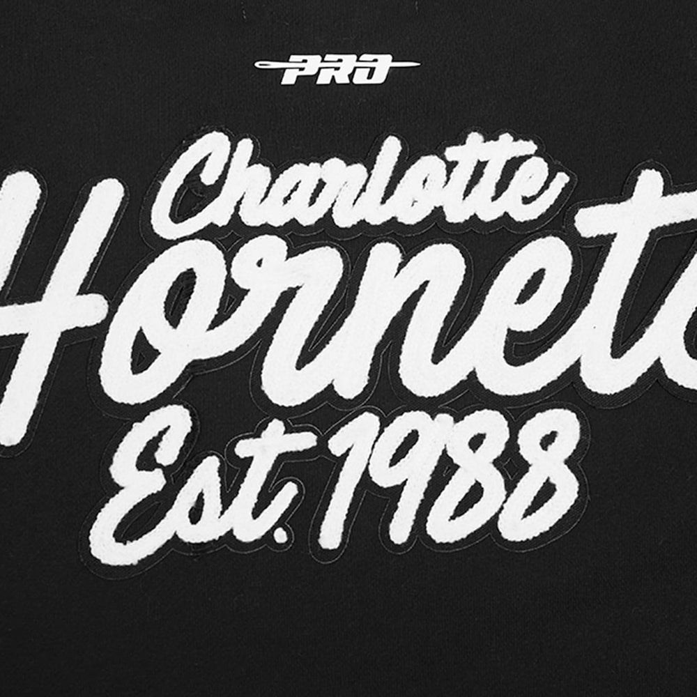 Charlotte Hornets Pro Standard Paint the City Drop Shoulder Sweatshirt - Black shop