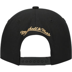 Florida Panthers Mitchell & Ness Core Team Script 2.0 Snapback Hat Black