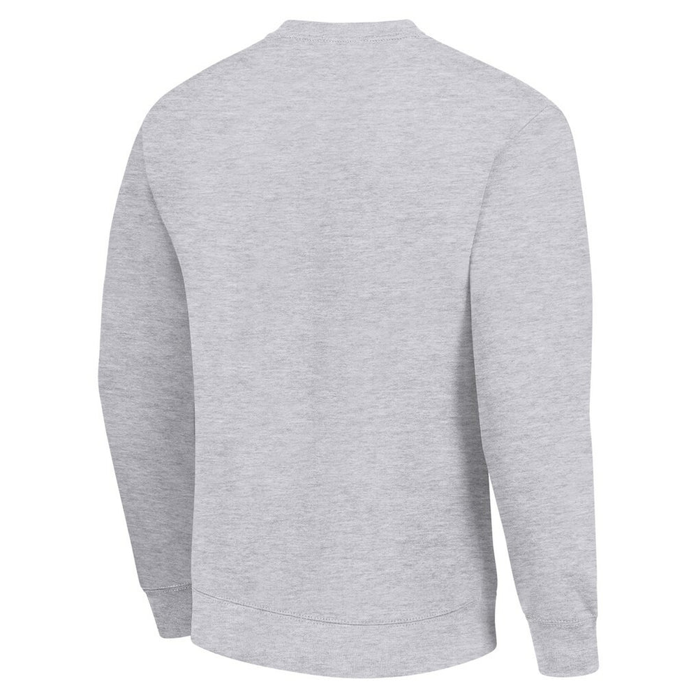 Indianapolis Colts Starter Team Logo Pullover Sweatshirt - Heather Gray on sale