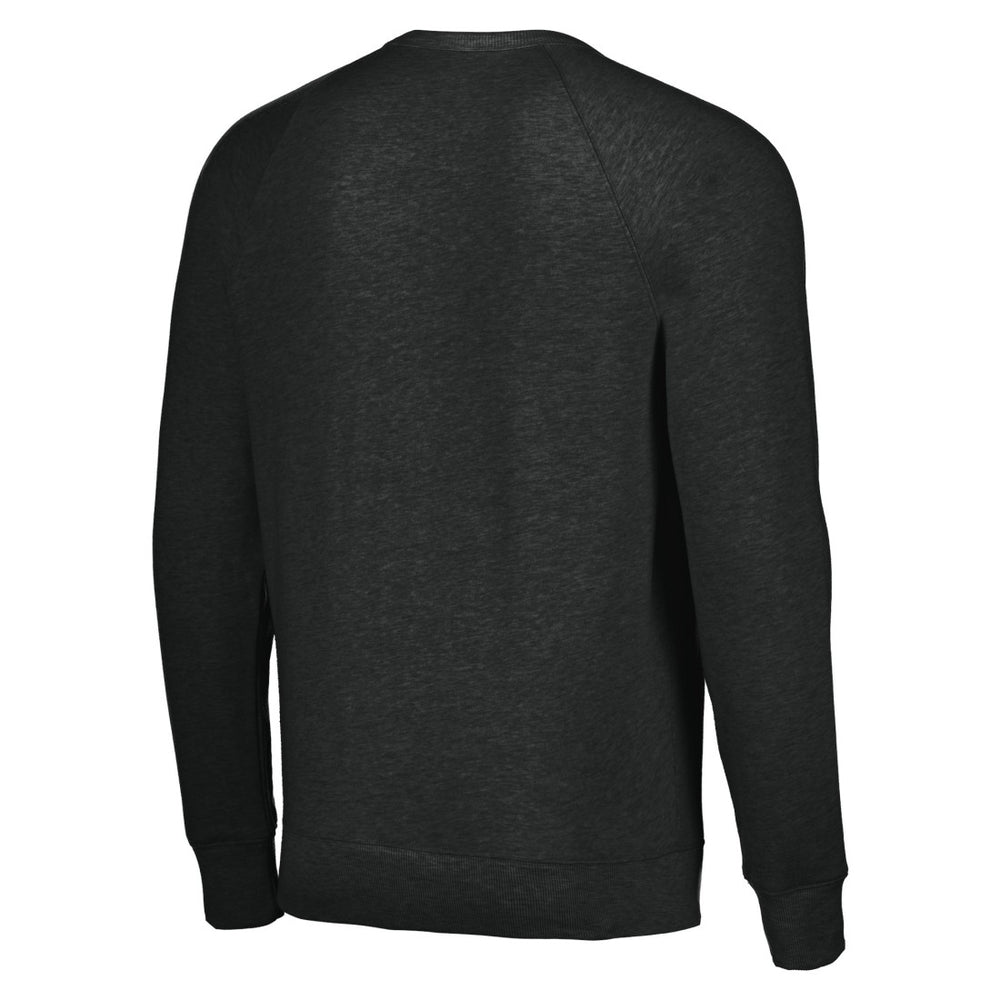 Houston Texans Homage Unisex Color Rush Crest Tri-Blend Pullover Sweatshirt - Charcoal discount