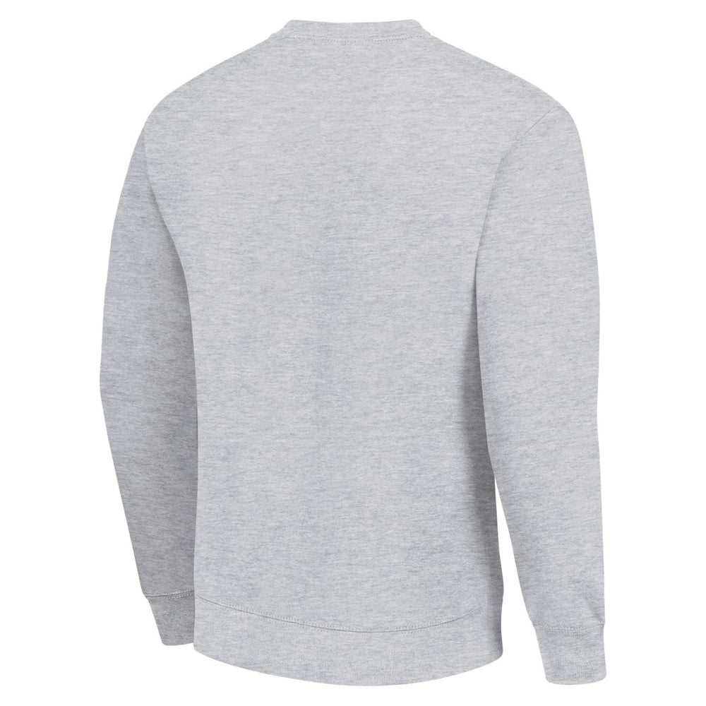 Green Bay Packers Starter Half Ball Team Graphic Tri-Blend Fleece Pullover Sweatshirt - Heather Gray outlet