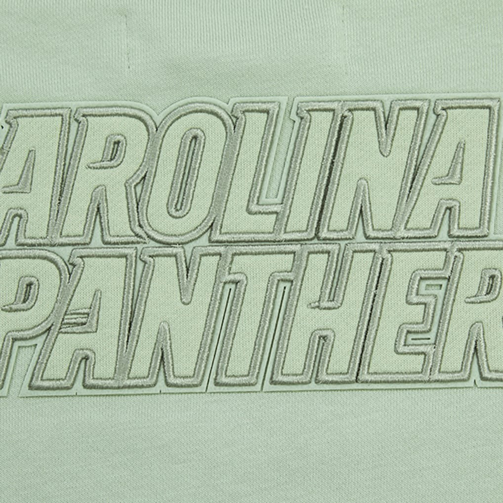 Carolina Panthers Pro Standard Women's Oversized Cropped Neutral Pullover Sweatshirt - Light Green online