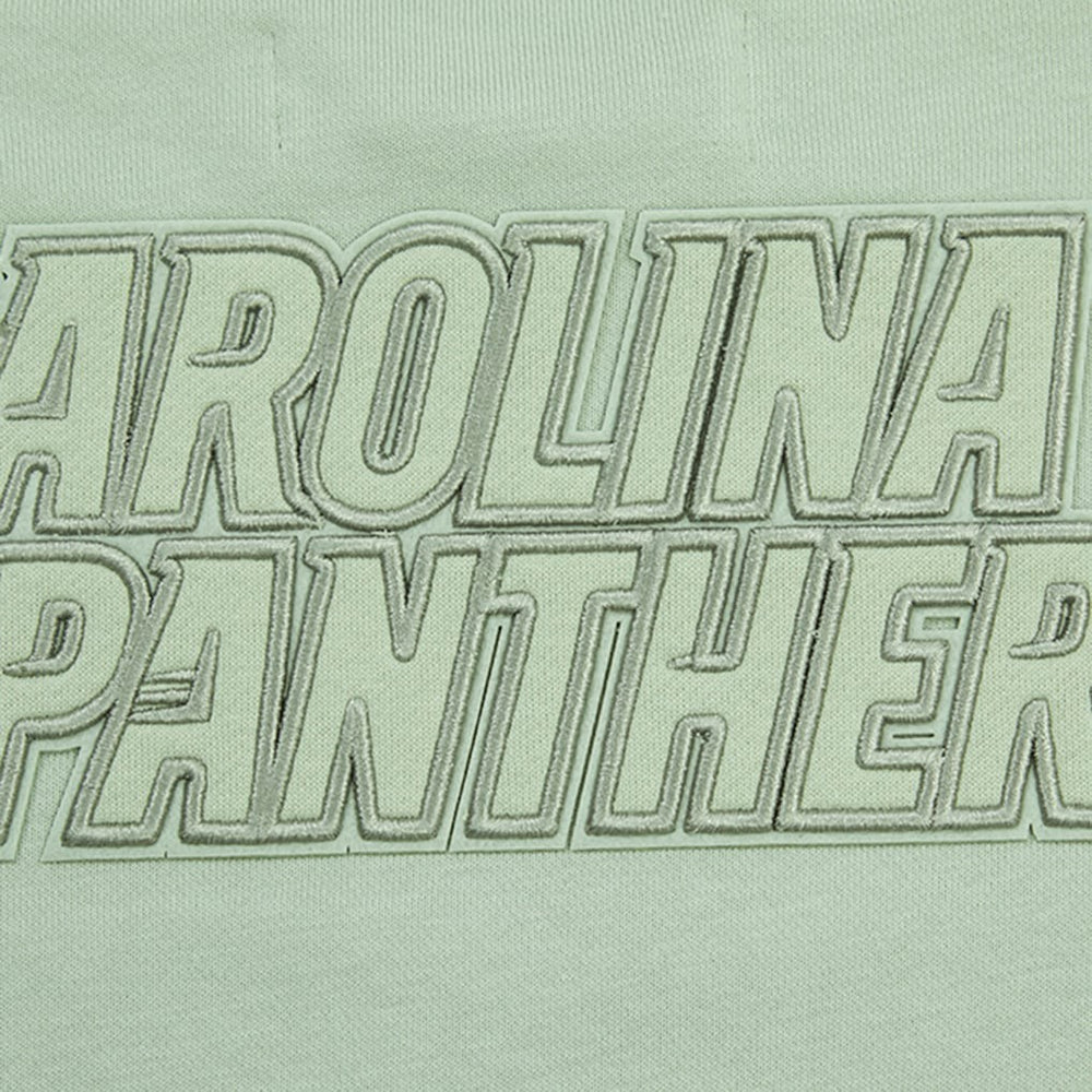 Carolina Panthers Pro Standard Women's Oversized Cropped Neutral Pullover Sweatshirt - Light Green online