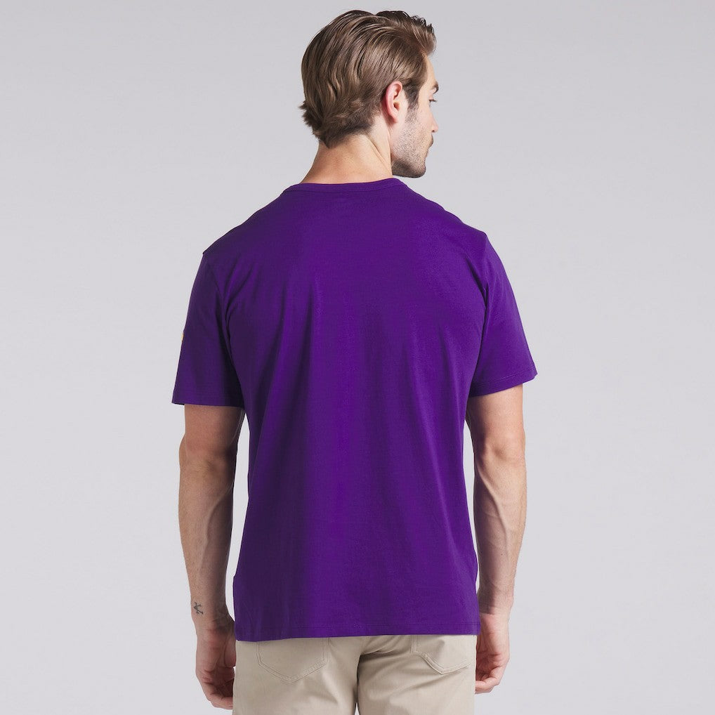 Minnesota Vikings Option Route Legacy T-Shirt - Purple sale