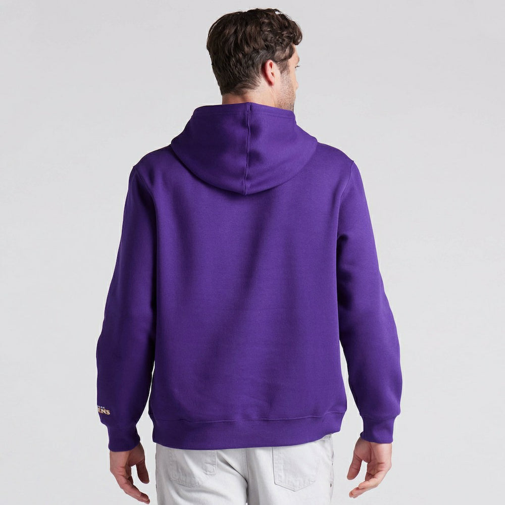 Baltimore Ravens Pylon Cam Legacy Pullover Hoodie - Purple on sale