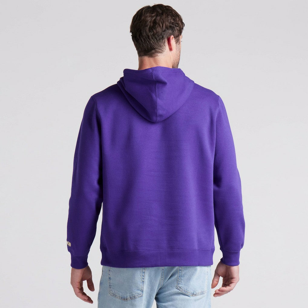Minnesota Vikings Pylon Cam Legacy Pullover Hoodie - Purple discount