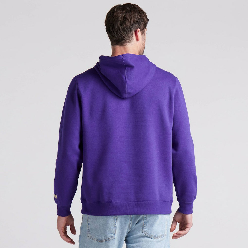 Minnesota Vikings Pylon Cam Legacy Pullover Hoodie - Purple discount