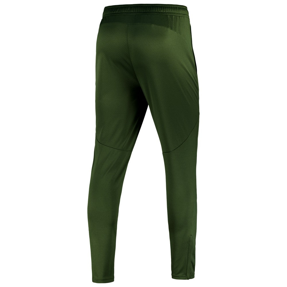 Manchester City 2024/25 dryCELL Training Pants - Sky Forest Green | Puma for sale