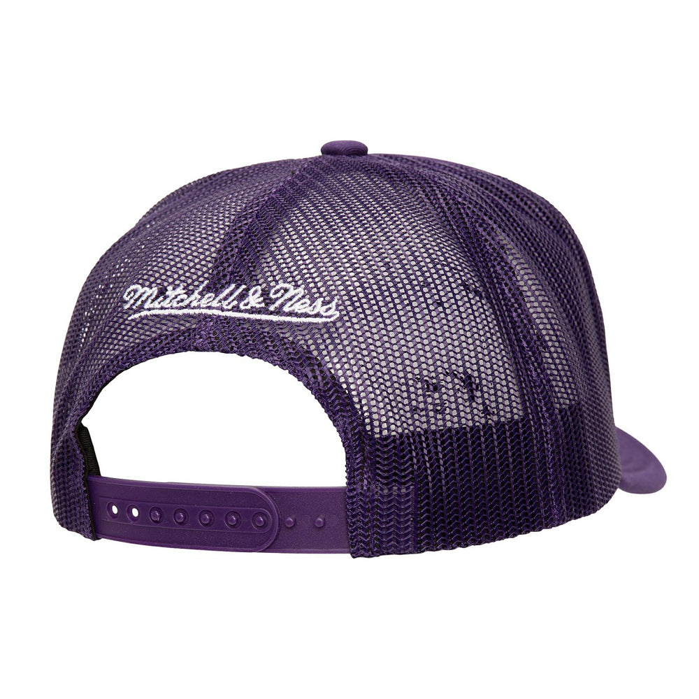 Phoenix Suns Core Evergreen OTC Trucker Adjustable Hat - Purple | Mitchell & Ness sale