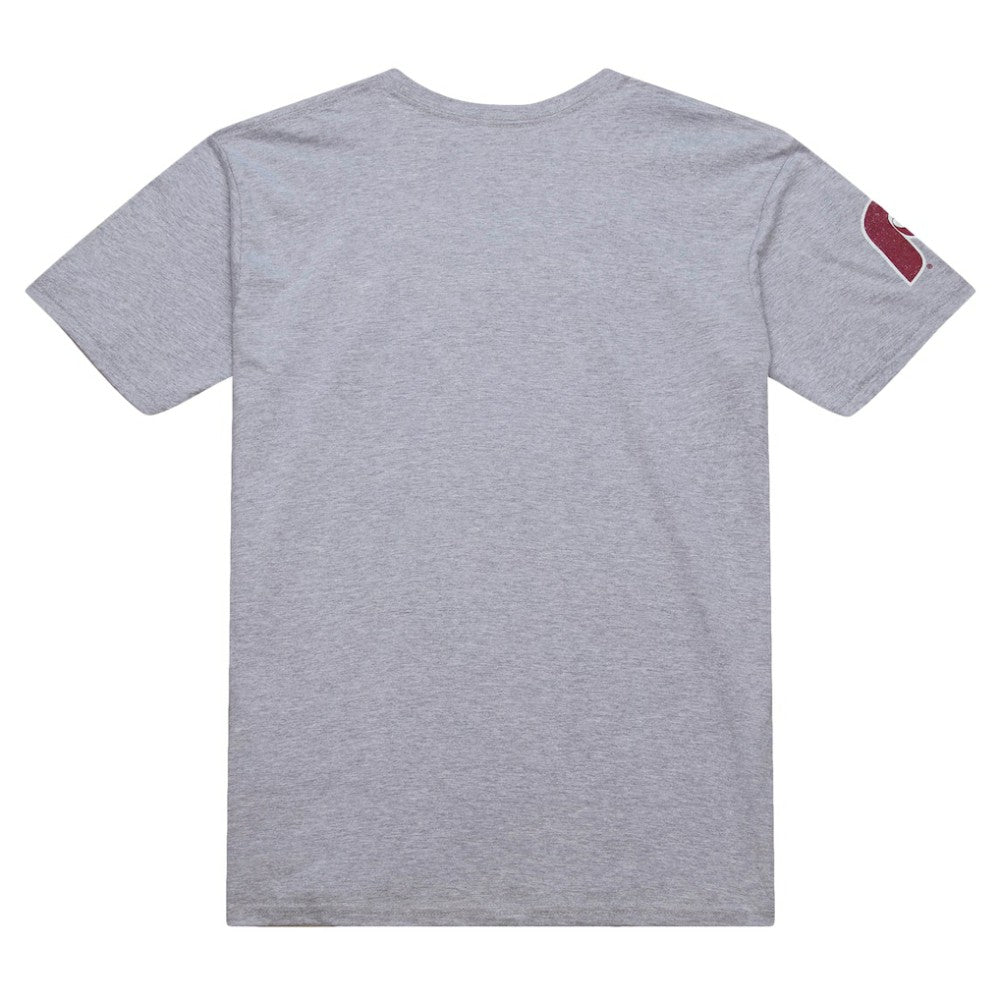 Darren Daulton Philadelphia Phillies Cooperstown Collection Player T-Shirt - Heather Gray | Mitchell & Ness