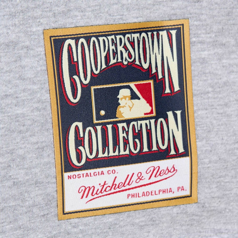 Darren Daulton Philadelphia Phillies Cooperstown Collection Player T-Shirt - Heather Gray | Mitchell & Ness