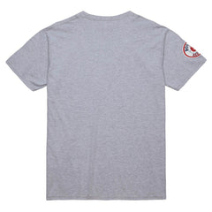 David Ortiz Boston Red Sox Cooperstown Collection Player T-Shirt - Grey Heather | Mitchell & Ness