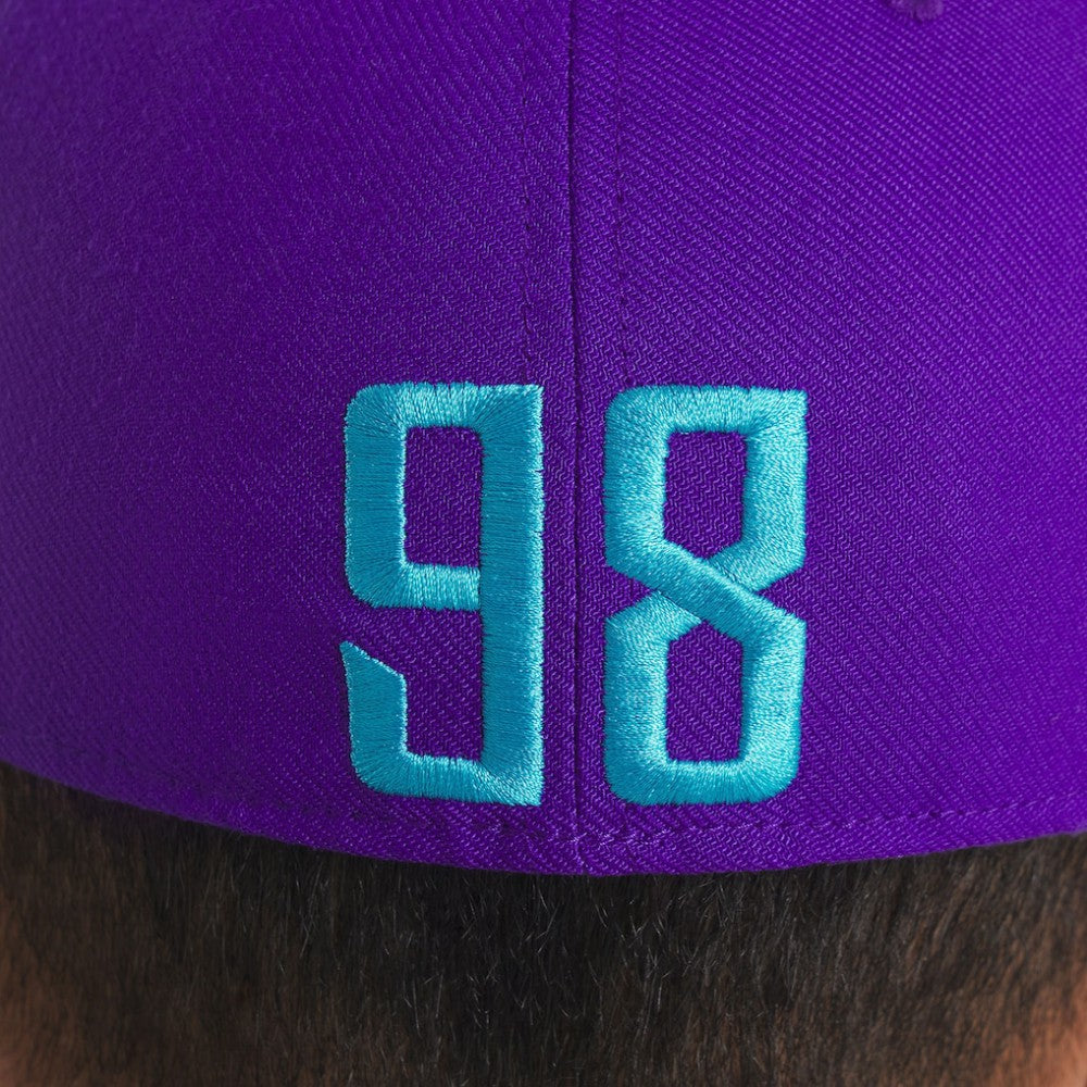 Arizona Diamondbacks 2025 City Connect Rise Swoosh Performance Flex Hat - Purple | Nike