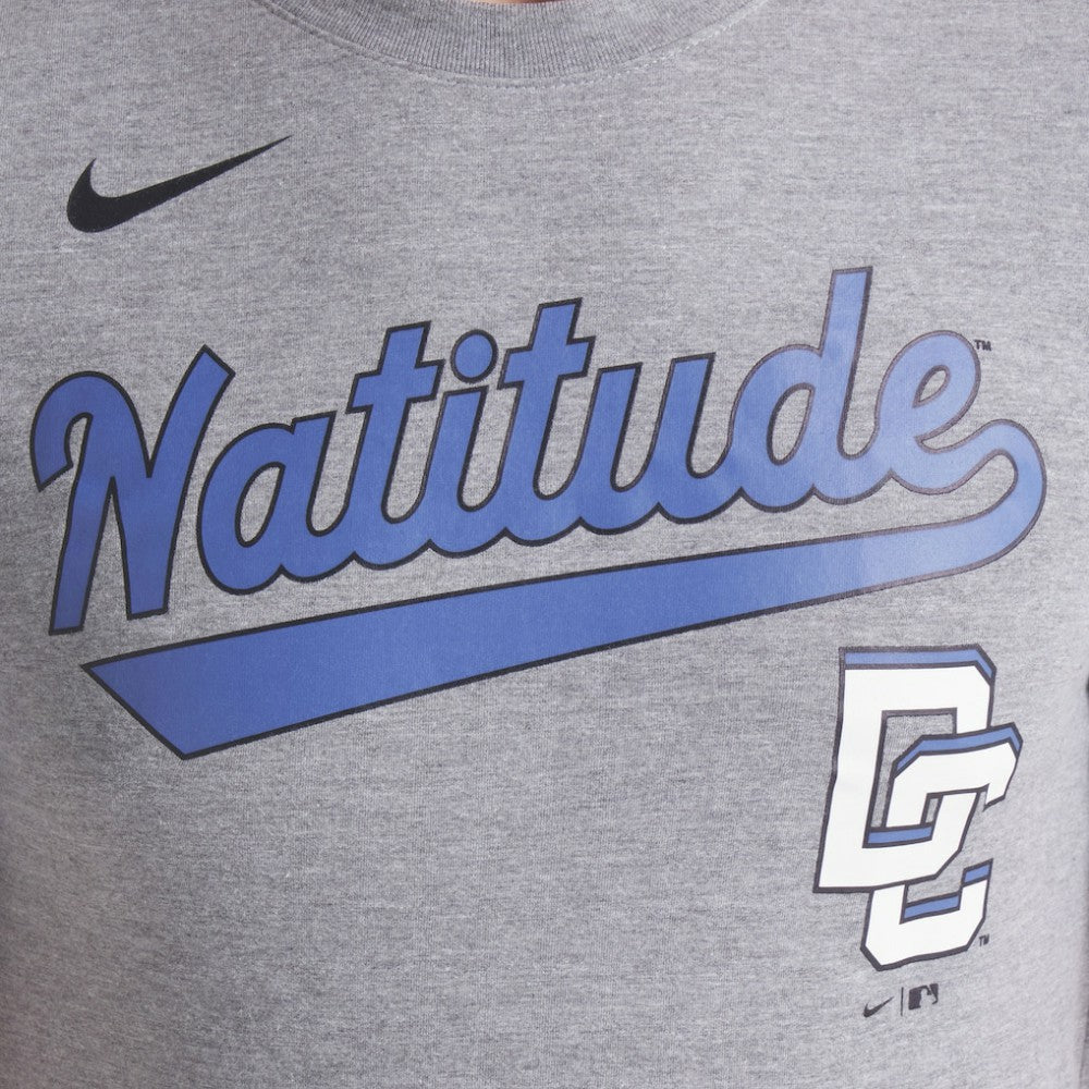 Washington Nationals City Connect Script Tri-Blend T-Shirt - Heather Charcoal | Nike