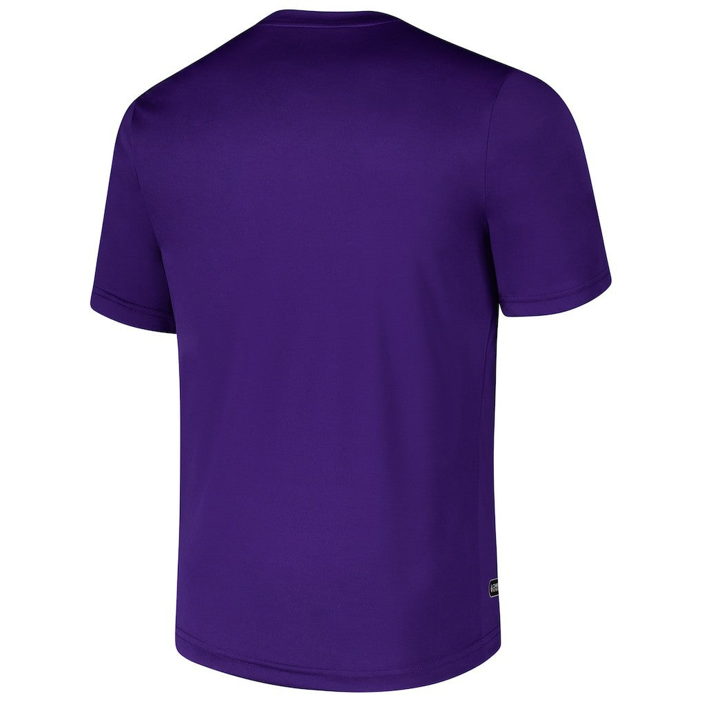 Minnesota Vikings Stadium Retro T-Shirt - Purple for sale