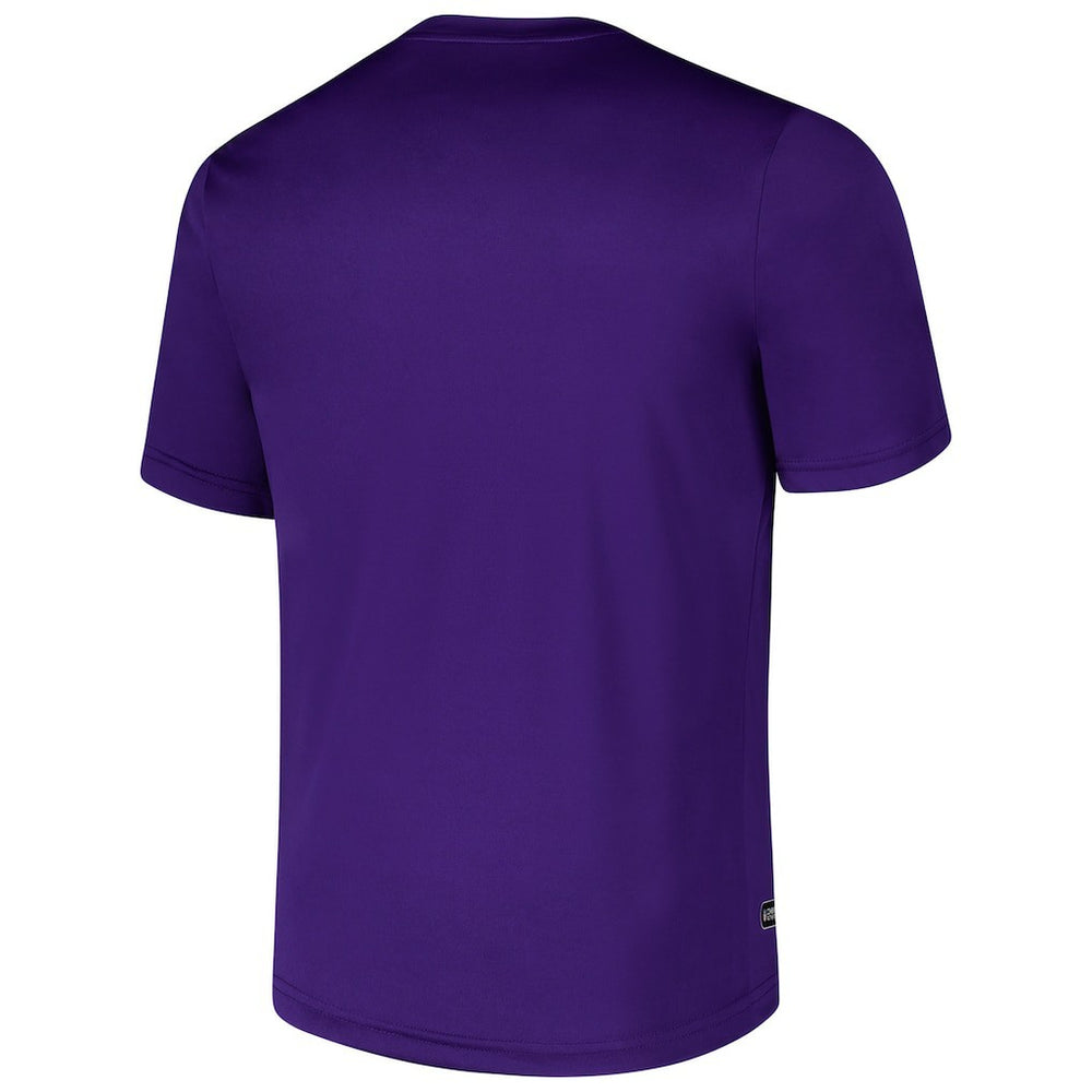 Minnesota Vikings Stadium Retro T-Shirt - Purple for sale