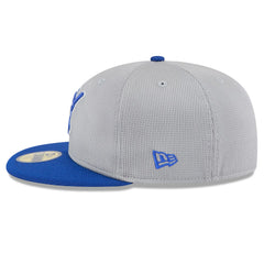 Milwaukee Brewers 2025 Batting Practice 59FIFTY Fitted Hat - Gray/Royal | New Era