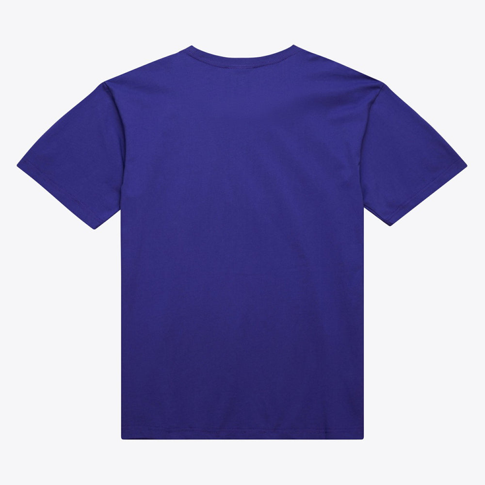 Milwaukee Bucks Hardwood Classics Neon Nights Premium T-Shirt - Purple | Mitchell & Ness cheap