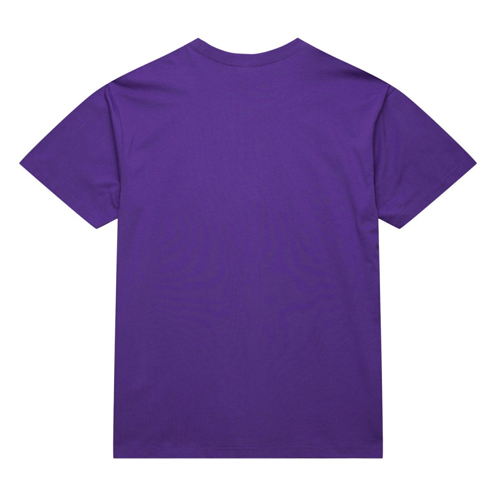 Toronto Raptors Hardwood Classics Neon Nights Premium T-Shirt - Raptors Purple | Mitchell & Ness sale