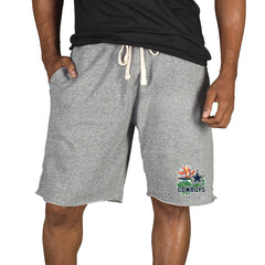 Dallas Cowboys Concepts Sport Mainstream Tri-Blend Shorts - Gray online